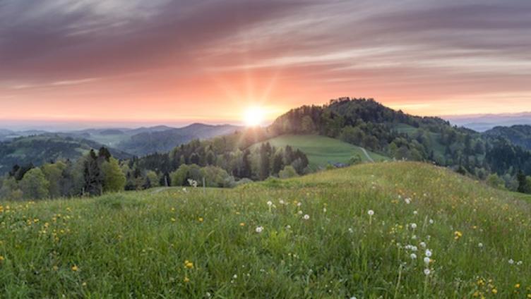 „Unser Thurgau“ - die Rosinen