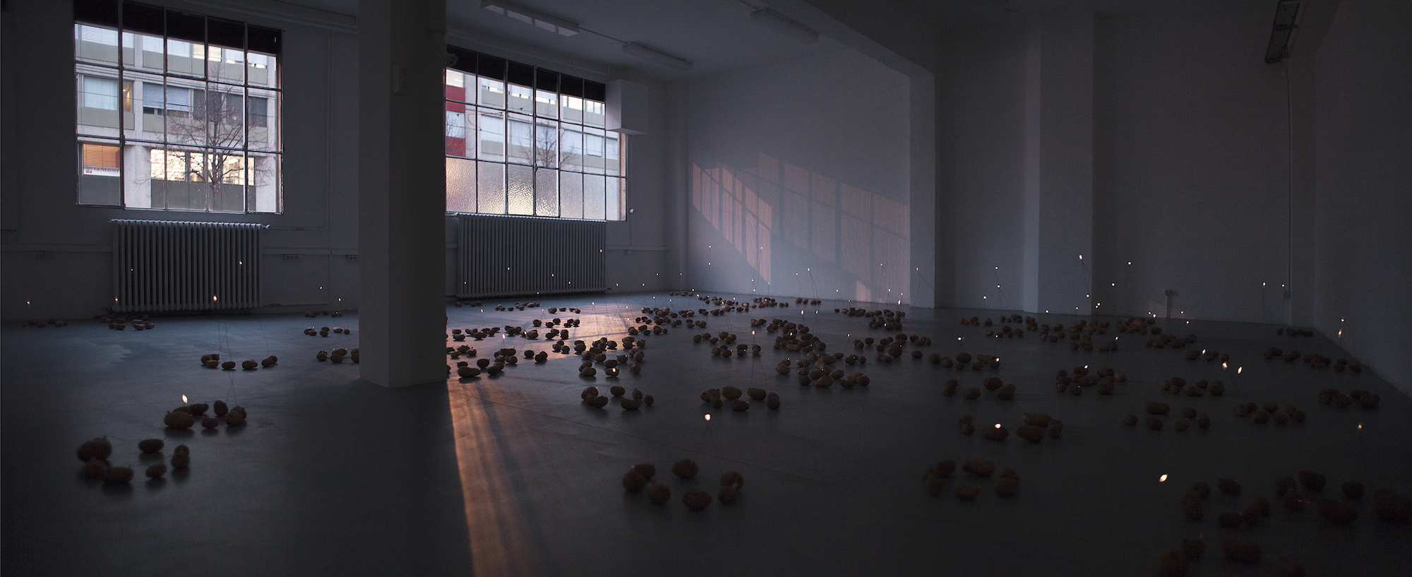 “Isolated Systems Vol.1”. Es ist eine Installation von Esther Mathis aus circa 140 Kartoffelbatterien. “Isolated Systems Vol.1”. Es ist eine Installation von Esther Mathis aus circa 140 Kartoffelbatterien.