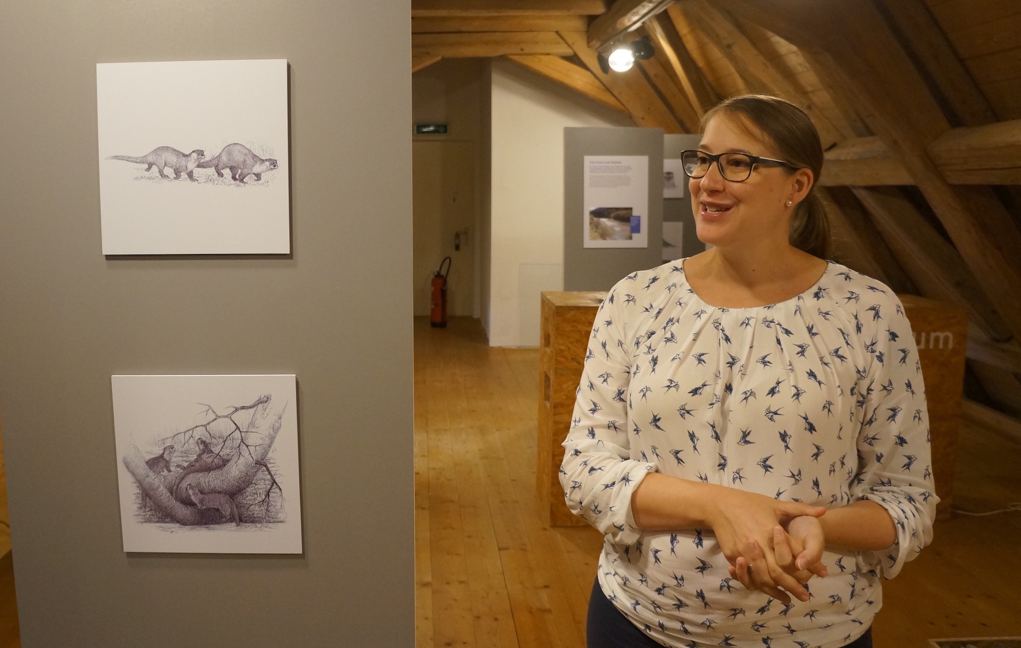 Die Museumsleiterin Ursula Steinhauser zeigt die Illustrationen des Künstlers Ueli Iff.