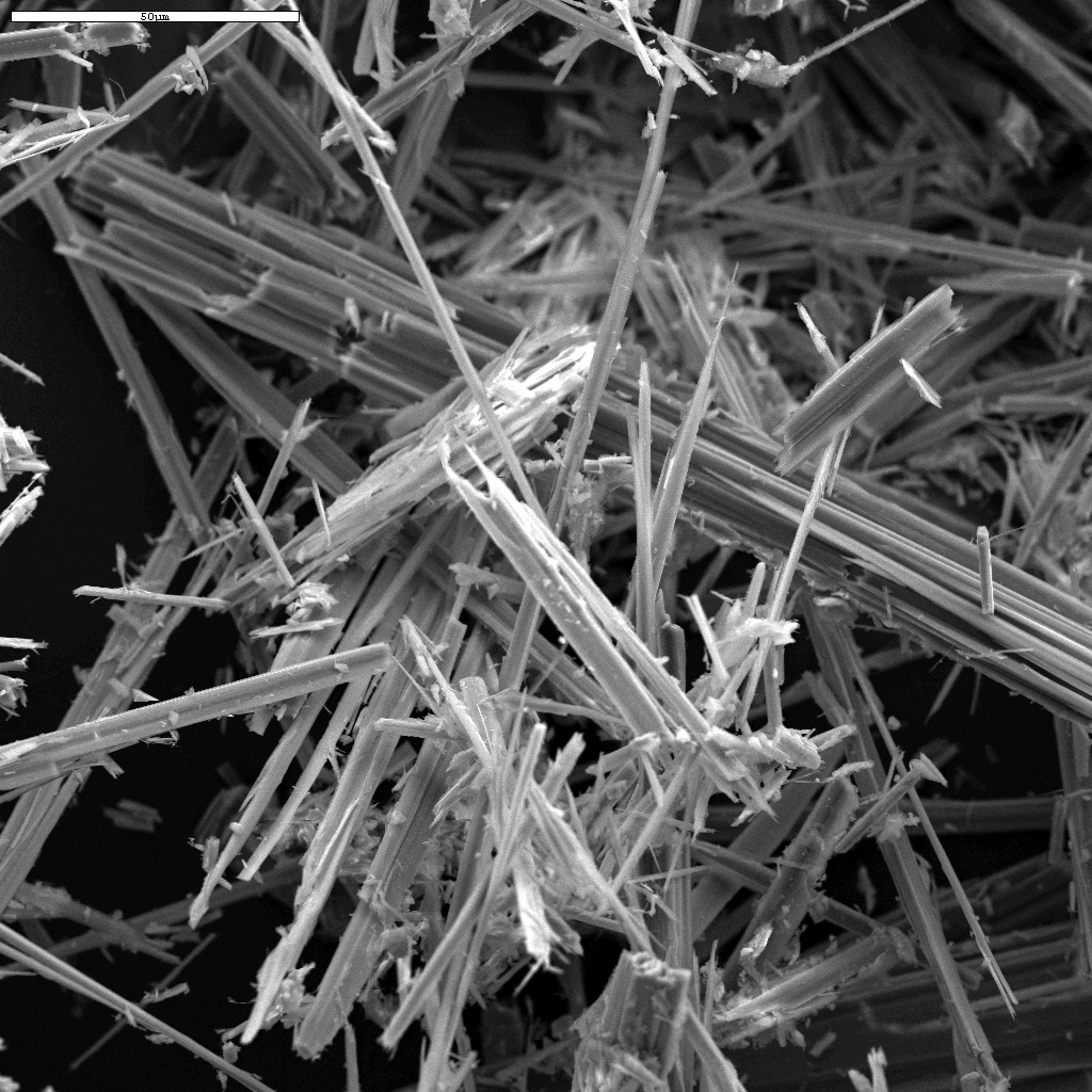 Asbestfasern unter dem Mikroskop