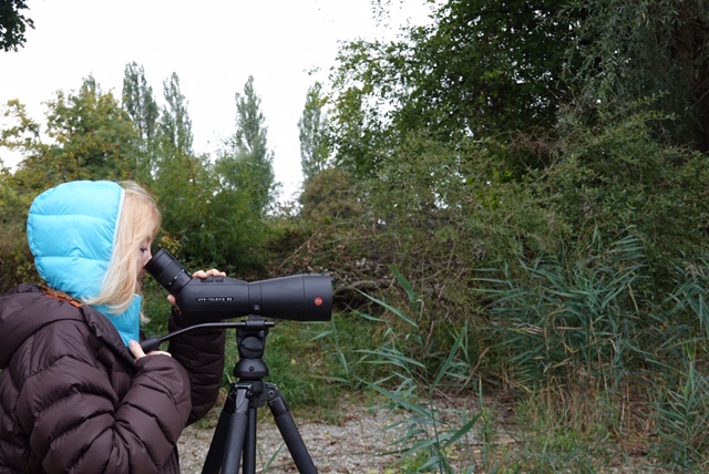 Maria Schneider auf "Bird-Watching"-Exkursion auf der Insel Werd.