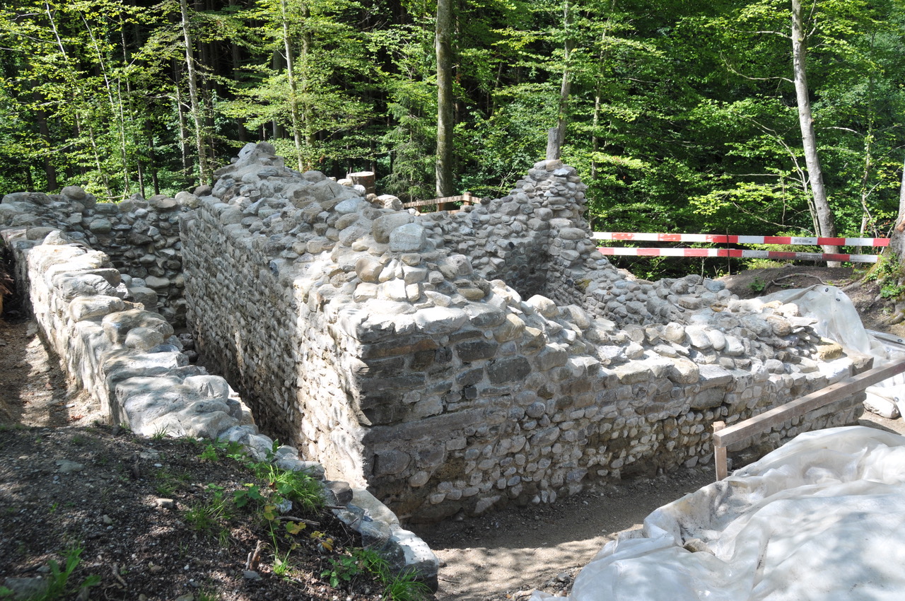 Grabungen beim Schloss Altenburg