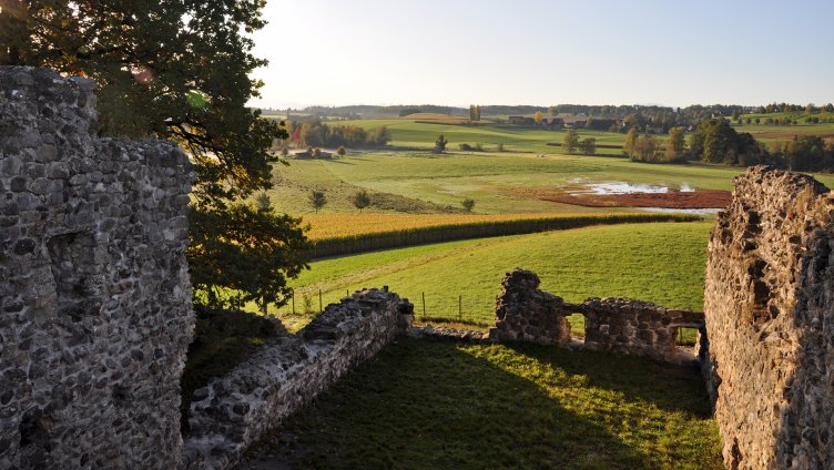 Ruine Helfenberg