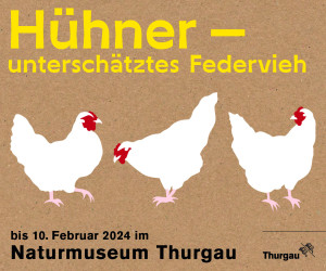 Naturmuseum Hühner