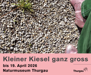 (medium) Naturmuseum: Kiesel IV