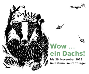 (m) Naturmuseum - Dachs II