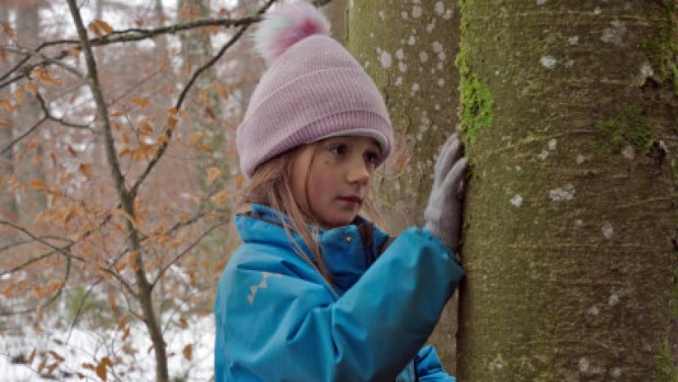 Von Kindern und Bäumen – Ein Jahr in der Waldschule