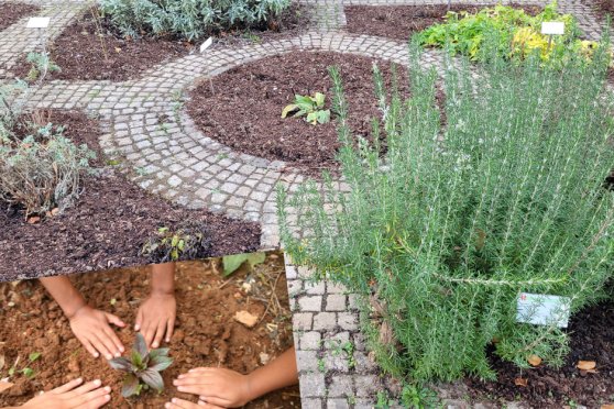 Abenteuer Klostergarten – eine Familienführung zum Mitmachen