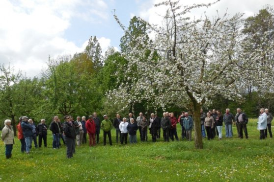 Obstsortensammlung