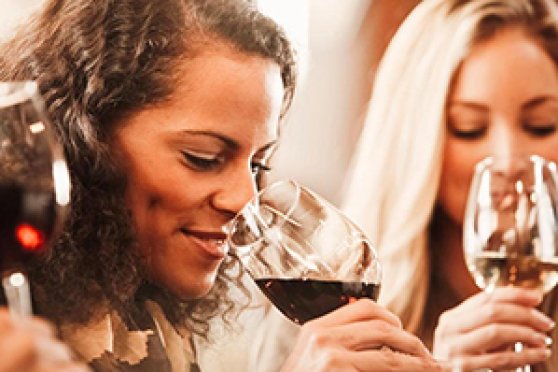 Basiswissen Wein - Schritt für Schritt in die WeinWelt eintauchen