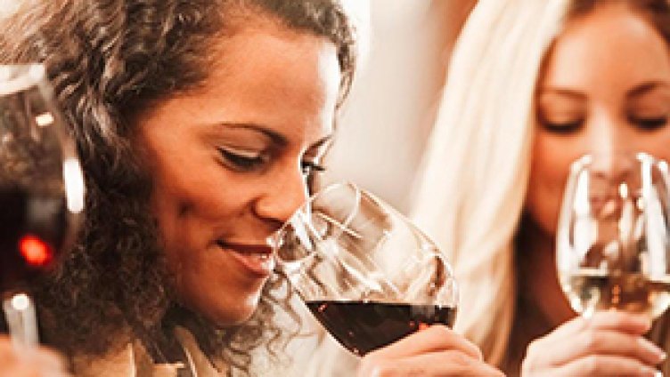 Basiswissen Wein - Schritt für Schritt in die WeinWelt eintauchen
