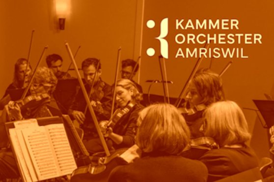 Klangfarben: Orgel und Kammerorchester Amriswil im Dialog