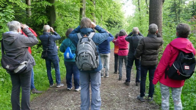 Die Stunde der Gartenvögel mit dem NVS Meise Arbon