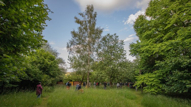 lauschig und achtsam – Waldbaden mit Poesie