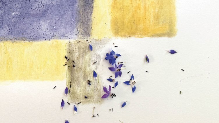 Mädesüss trifft Teufelskralle