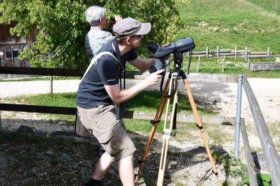 Naturerlebnis Bodensee