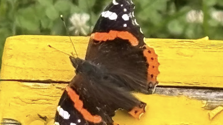 Im Scheinwerferlicht - Auftrittt üben