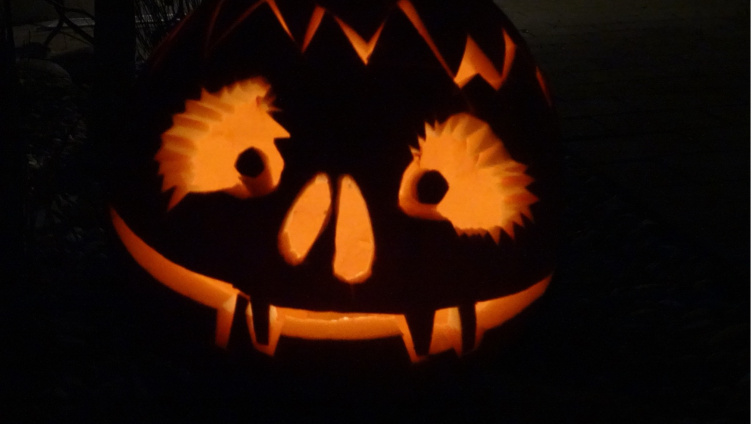 Gartenkindaktion  Kürbislaternen schnitzen