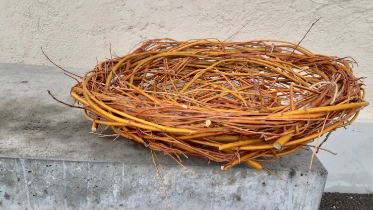 Weidekorb winden mit anschliessendem Essen