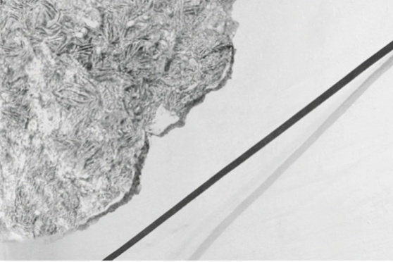 Othmar Eder / Gisela Hoffmann – fragile