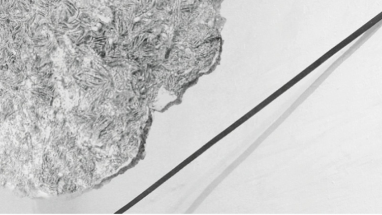 Othmar Eder / Gisela Hoffmann – fragile