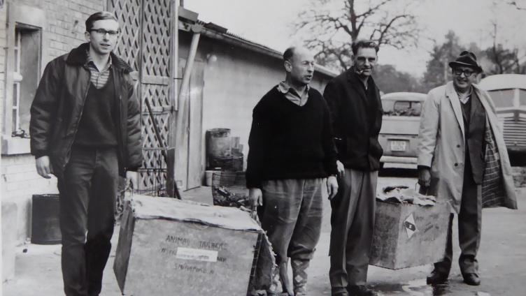 Bäume fällen, Dämme bauen, Burgen graben: 60 Jahre Biber im Thurgau