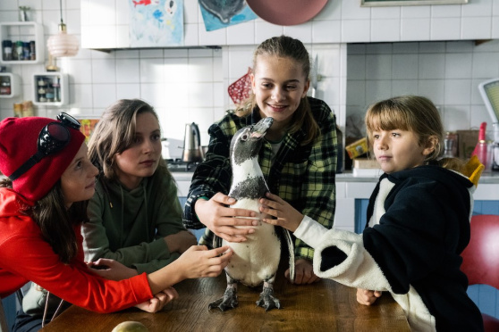 Die Chaos-Schwestern und Pinguin Paul