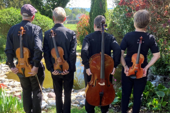 Ein Streichquartett auf Saitenwegen