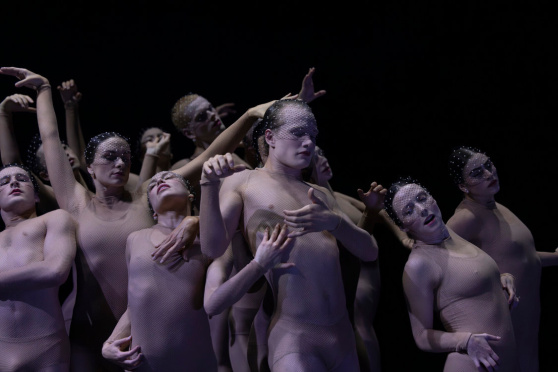 Steps: Göteborgs­Operans­ Dans­kompani