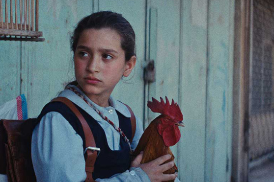 The President’s Cake