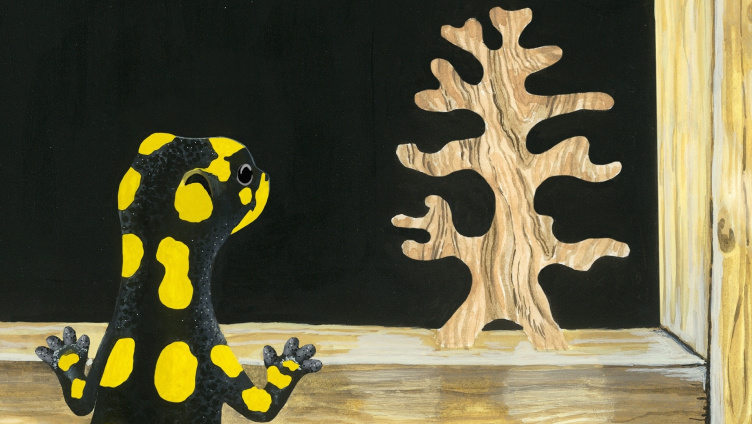 Annina Arter: The Salamander Room