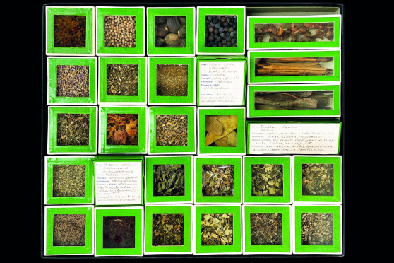 Es tökterlet e bitzli - Die Drogensammlung von Paul Schaad