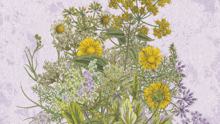 Allein die Dosis macht's