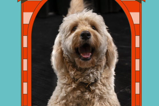 WAU WOW  –  ein Hundsstück