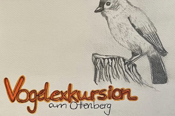 Vogelexkursion am Ottenberg