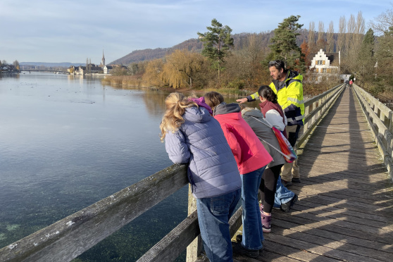 Archäologischer Spaziergang in und um Eschenz
