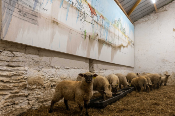 Öffentliche Führung durch die Ausstellung «Fabrice Hyber – Homme de Terre»
