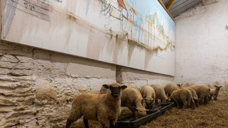 Öffentliche Führung durch die Ausstellung «Fabrice Hyber – Homme de Terre»