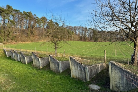 Geschichte der Panzerabwehr der Armee mit Besichtigungen im Gelände