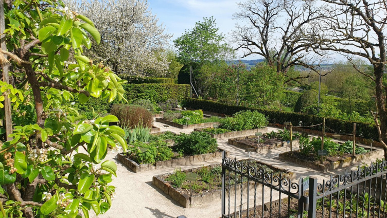 Öffentliche Führung: Was wir bitter nötig haben