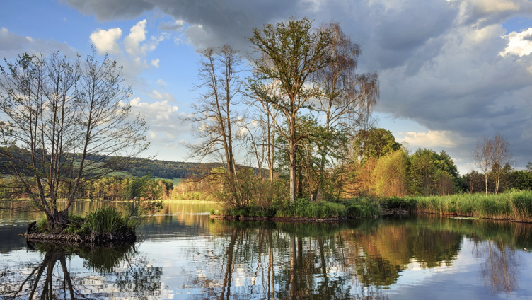 Frühling im Seebachtal TG