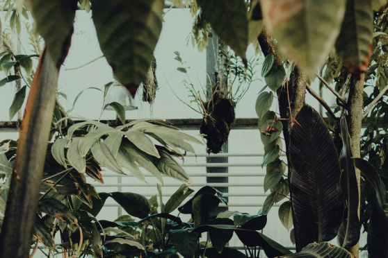 Besuch im «Paradiesgarten»