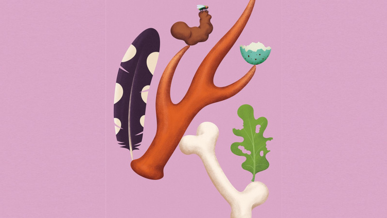 Vernissage - Spuren – Fährten, Frass und Federn