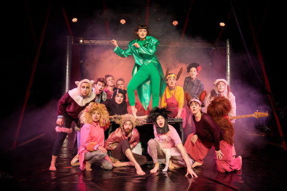 Circolino Pipistrello spielt "Kroko-Deal"