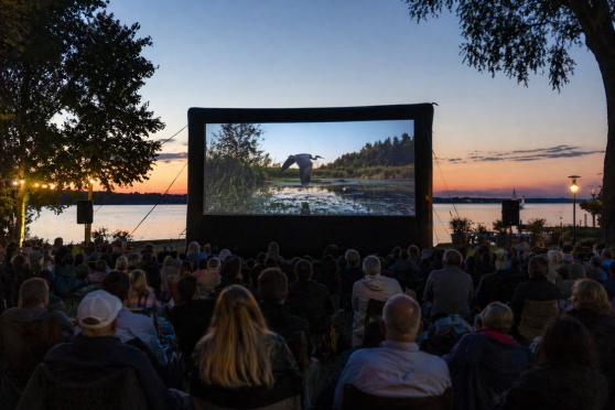 Naturkino am See