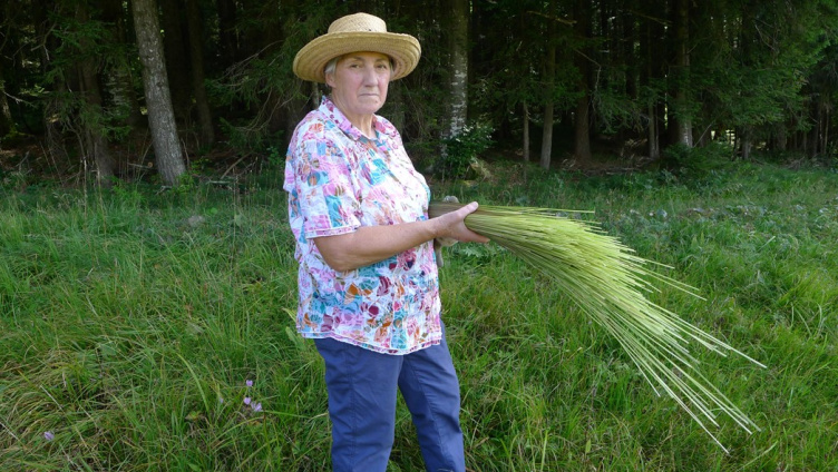 Vom Pfeifengras zum Besen