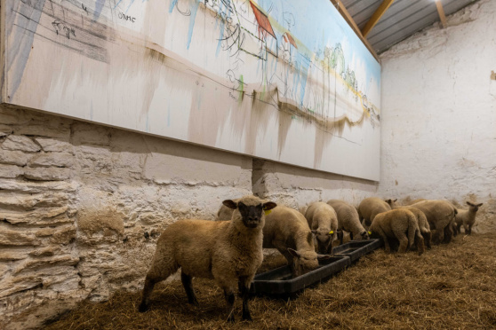 Ausstellungs- und Bauernhofrundgang - Fabrice Hyber – Homme de Terre