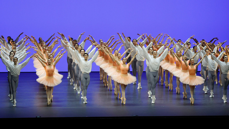 taZ – Curtain Up!