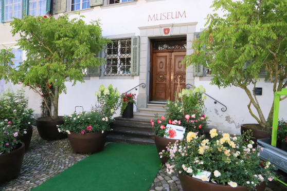 Museum Bischofszell blüht zwischen den Rosen auf