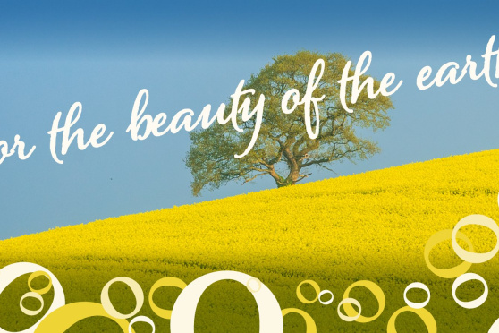The Beauty of the Earth